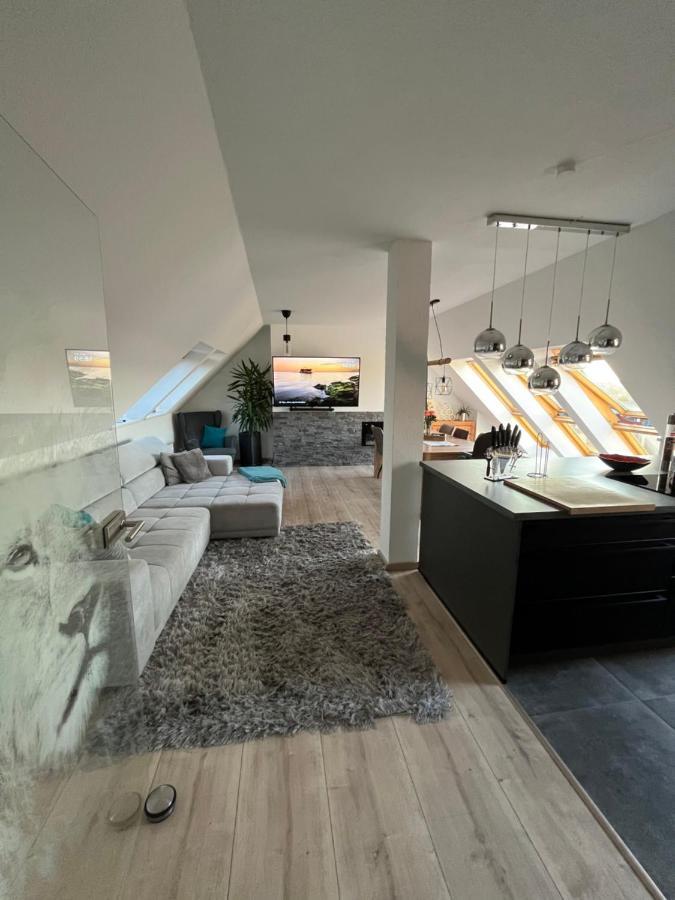 105 Qm Neues Klimatisiertes Appartment Fuer Familien Privater Parkplatz Chemnitz Exterior photo